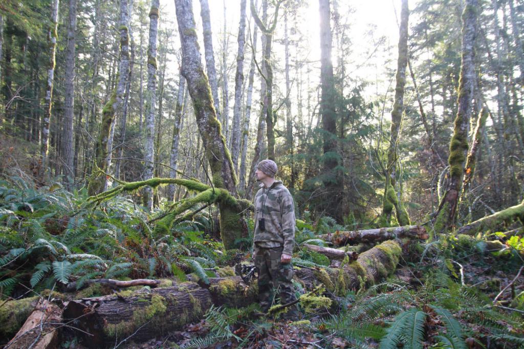 l'homme se promène dans les bois