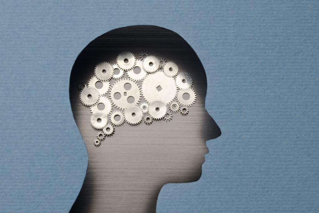 Conclusion de l'article