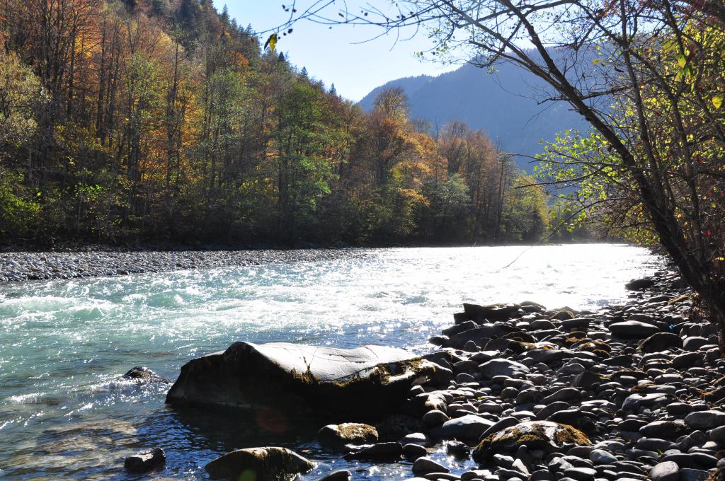 Forêt près de la rivière de montagne Laba (Caucase du Nord)
