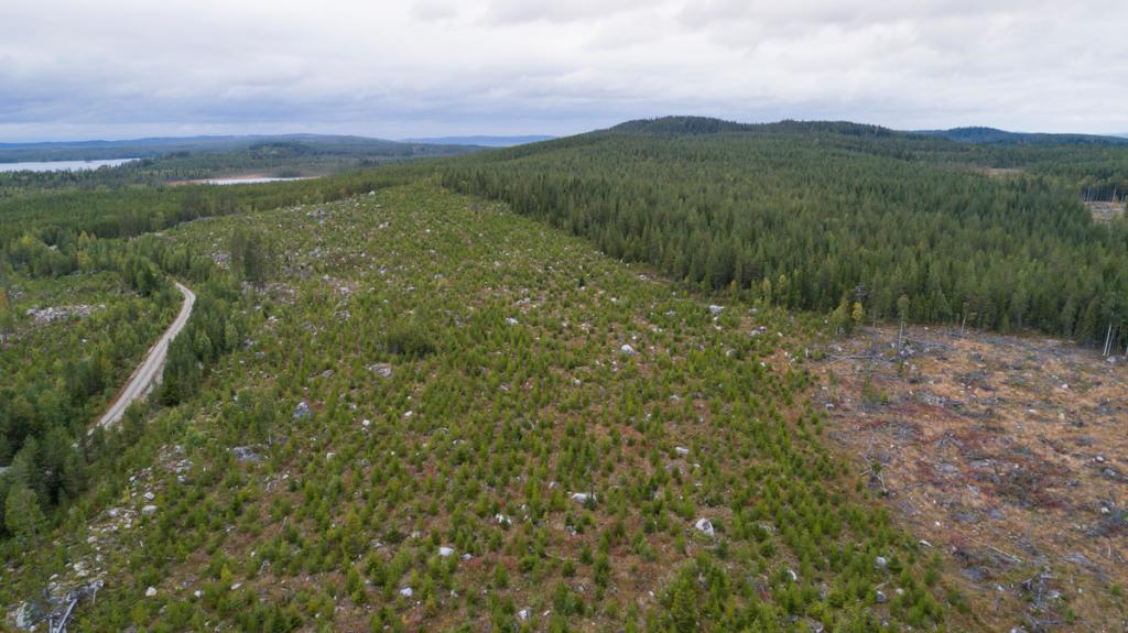 Échafaudages de production