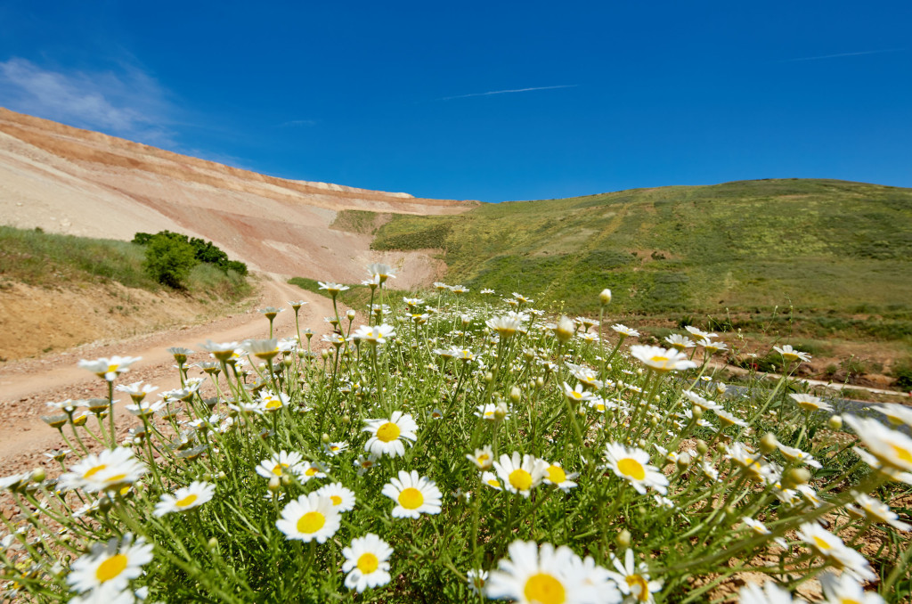 Mesures de restauration de la couverture terrestre