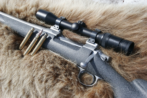 délivrance de permis d'armes à feu