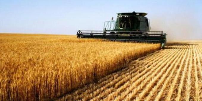 responsabilité coopérative de production