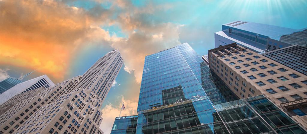 organisation autonome à but non lucratif