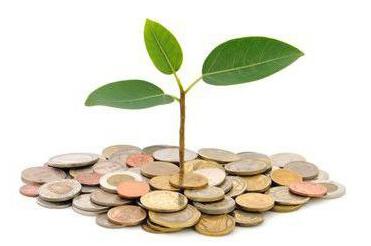 capital social autorisé