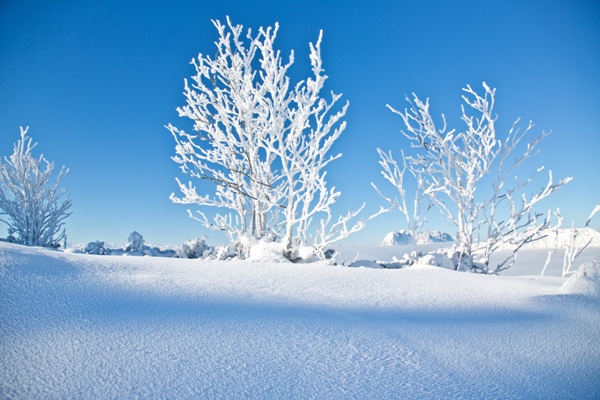 prendre des vacances en janvier n'est pas rentable