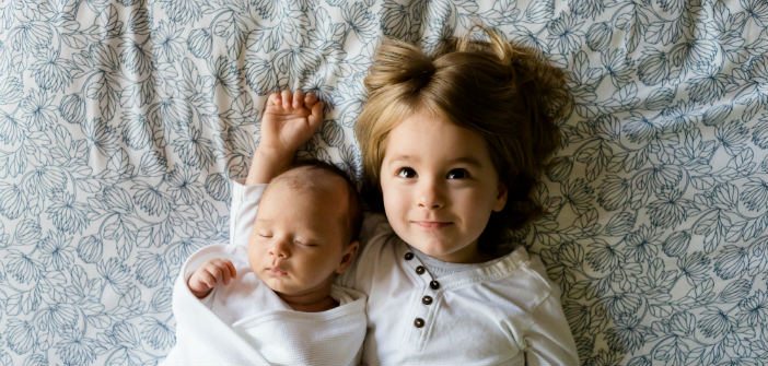 Reconstitution de la famille